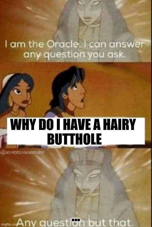 The oracle | WHY DO I HAVE A HAIRY 
BUTTHOLE; ... | image tagged in the oracle | made w/ Imgflip meme maker
