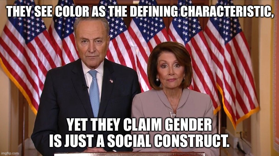 According to progressives, race is a defining characteristic but gender is just a social construct | THEY SEE COLOR AS THE DEFINING CHARACTERISTIC, YET THEY CLAIM GENDER IS JUST A SOCIAL CONSTRUCT. | image tagged in chuck and nancy,memes,racist,gender identity,liberal logic,triggered | made w/ Imgflip meme maker