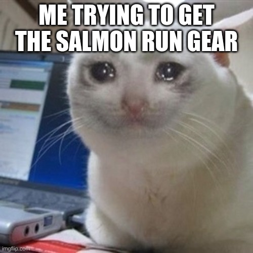 randoms can officially leave now please | ME TRYING TO GET THE SALMON RUN GEAR | image tagged in crying cat | made w/ Imgflip meme maker