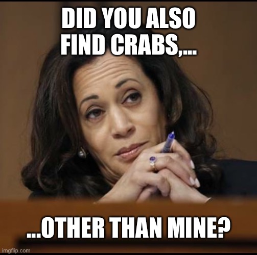 Kamala Harris  | DID YOU ALSO FIND CRABS,... ...OTHER THAN MINE? | image tagged in kamala harris | made w/ Imgflip meme maker