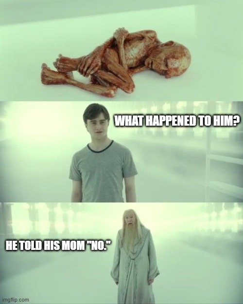 Dead Baby Voldemort / What Happened To Him | WHAT HAPPENED TO HIM? HE TOLD HIS MOM "NO." | image tagged in dead baby voldemort / what happened to him | made w/ Imgflip meme maker