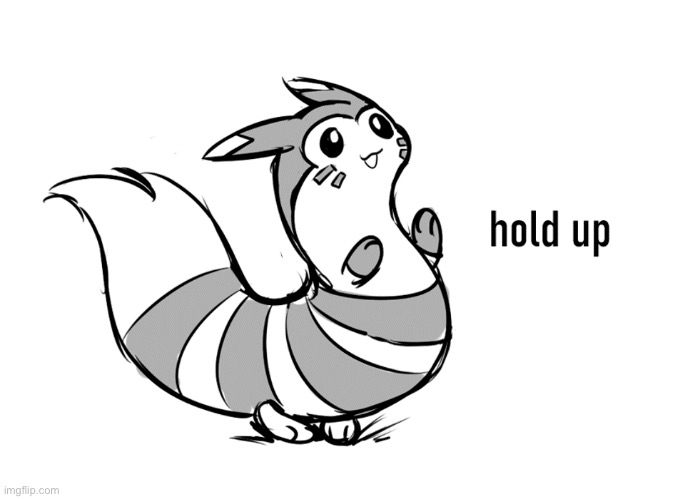 Furret hold up | image tagged in furret hold up | made w/ Imgflip meme maker