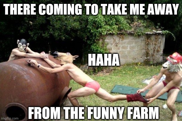 WHERE LIFE WAS SO HAPPY | THERE COMING TO TAKE ME AWAY; HAHA; FROM THE FUNNY FARM | image tagged in wtf,masks,funny | made w/ Imgflip meme maker