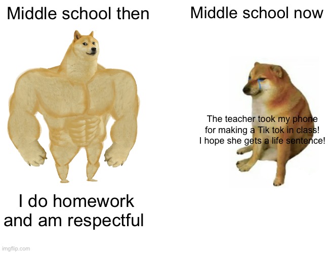 Middle school | Middle school then; Middle school now; The teacher took my phone for making a Tik tok in class! I hope she gets a life sentence! I do homework and am respectful | image tagged in memes,buff doge vs cheems | made w/ Imgflip meme maker