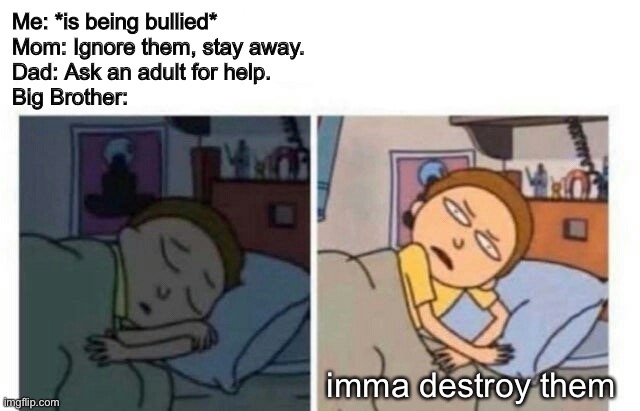 omnfg bully’s!111!1!1!!1 | Me: *is being bullied*
Mom: Ignore them, stay away.
Dad: Ask an adult for help.
Big Brother:; imma destroy them | image tagged in morty waking up | made w/ Imgflip meme maker