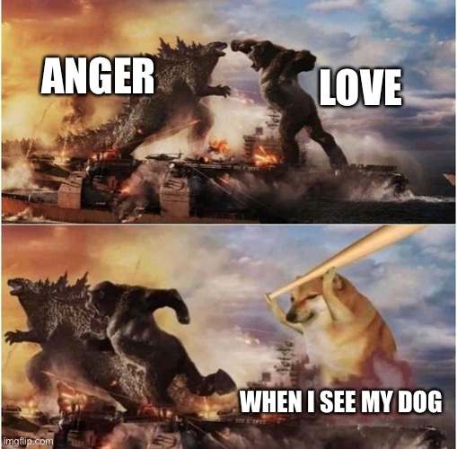 Kong Godzilla Doge | ANGER; LOVE; WHEN I SEE MY DOG | image tagged in kong godzilla doge | made w/ Imgflip meme maker