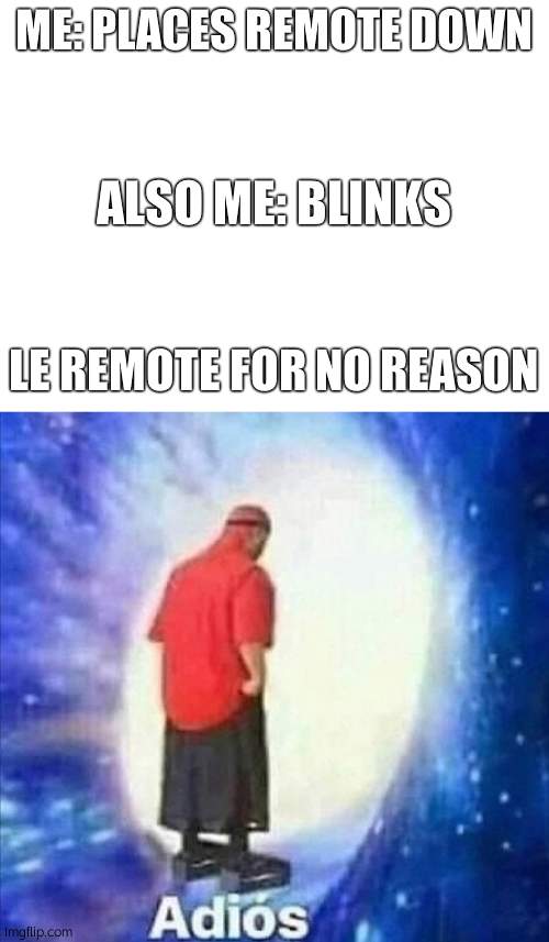ME: PLACES REMOTE DOWN; ALSO ME: BLINKS; LE REMOTE FOR NO REASON | image tagged in blank white template,adios | made w/ Imgflip meme maker