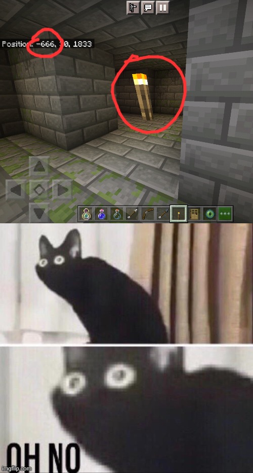 This was randomly generated- | image tagged in oh no cat,minecraft,666,cursed,coordinates | made w/ Imgflip meme maker