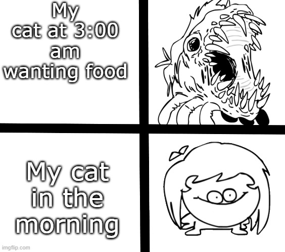 My cat irl | My cat at 3:00 am wanting food; My cat in the morning | image tagged in sr pelo ill meme | made w/ Imgflip meme maker