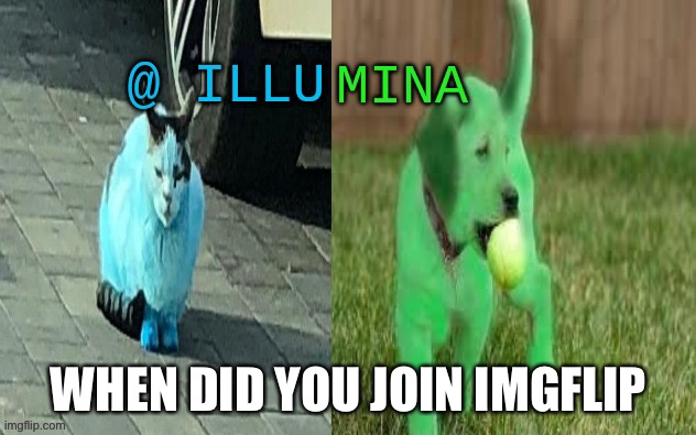 illumina new temp | WHEN DID YOU JOIN IMGFLIP | image tagged in illumina new temp | made w/ Imgflip meme maker