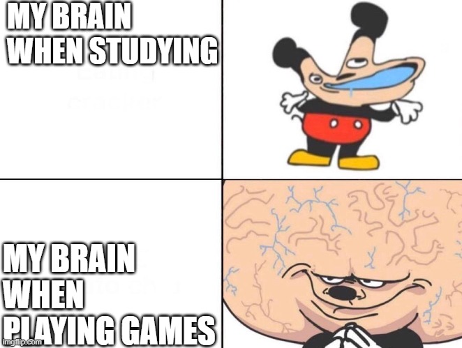 Mind | MY BRAIN WHEN STUDYING; MY BRAIN WHEN PLAYING GAMES | image tagged in big brain mokey | made w/ Imgflip meme maker