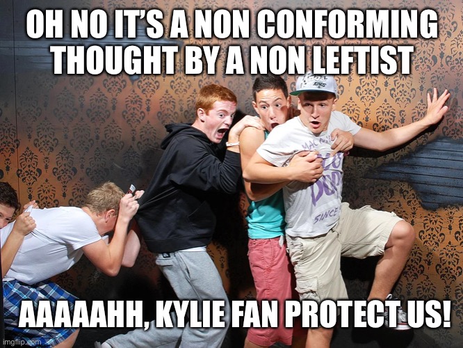 OH NO IT’S A NON CONFORMING THOUGHT BY A NON LEFTIST AAAAAHH, KYLIE FAN PROTECT US! | made w/ Imgflip meme maker
