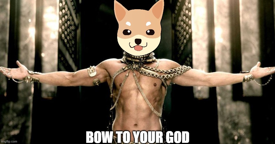 HOKK SUPREME | BOW TO YOUR GOD | image tagged in cryptocurrency,crypto,doge | made w/ Imgflip meme maker