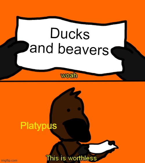 Platypus -> Duck + Beaver | Ducks and beavers; Platypus | image tagged in platypus,this is worthless,art | made w/ Imgflip meme maker