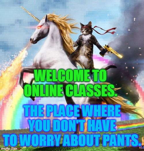Welcome To The Internets Meme | WELCOME TO ONLINE CLASSES. THE PLACE WHERE YOU DON'T HAVE TO WORRY ABOUT PANTS. | image tagged in memes,welcome to the internets | made w/ Imgflip meme maker