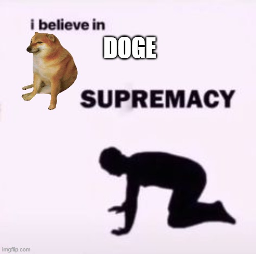 I believe in supremacy | DOGE | image tagged in i believe in supremacy | made w/ Imgflip meme maker