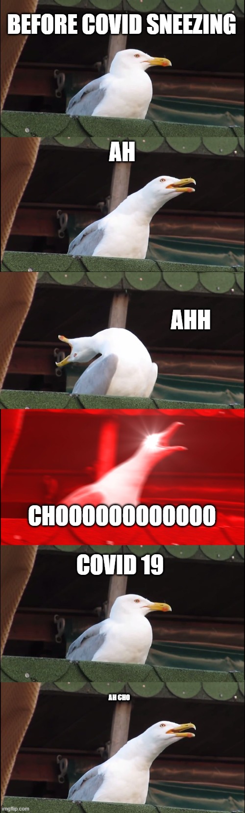 BEFORE COVID SNEEZING; AH; AHH; CHOOOOOOOOOOOO; COVID 19; AH CHO | image tagged in memes,inhaling seagull | made w/ Imgflip meme maker