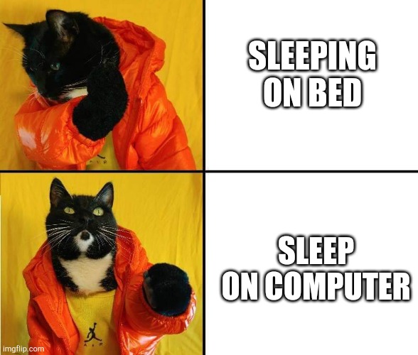 Cats be like | SLEEPING ON BED; SLEEP ON COMPUTER | image tagged in kitty drake | made w/ Imgflip meme maker