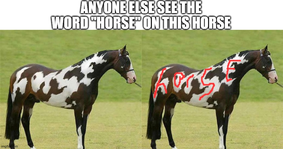 Could somebody explain to me what type of black magic this is. | ANYONE ELSE SEE THE WORD "HORSE" ON THIS HORSE | image tagged in memes,horse,funny,funny horse | made w/ Imgflip meme maker