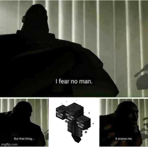 I fear no man | image tagged in i fear no man | made w/ Imgflip meme maker