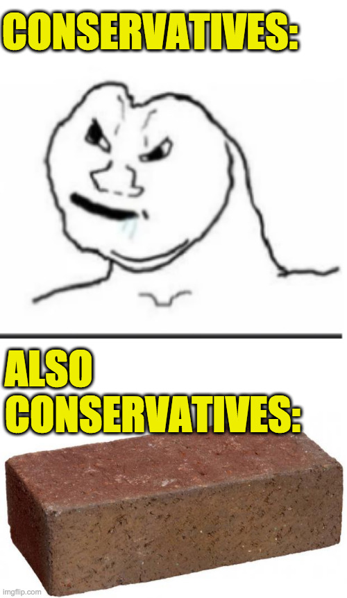 Conservatives won't get this. | CONSERVATIVES:; ALSO
CONSERVATIVES: | image tagged in oh hey brick,brick,memes,conservatives | made w/ Imgflip meme maker