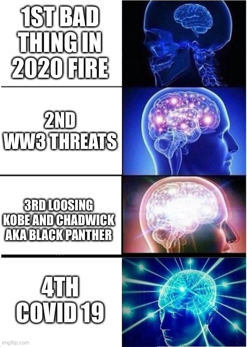 Expanding Brain | 1ST BAD THING IN 2020 FIRE; 2ND WW3 THREATS; 3RD LOOSING KOBE AND CHADWICK AKA BLACK PANTHER; 4TH COVID 19 | image tagged in memes,expanding brain | made w/ Imgflip meme maker