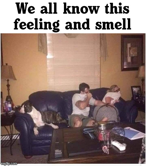 We all know this feeling and smell | image tagged in dogs | made w/ Imgflip meme maker