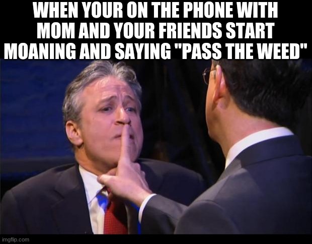 shhhhhh | WHEN YOUR ON THE PHONE WITH MOM AND YOUR FRIENDS START MOANING AND SAYING "PASS THE WEED" | image tagged in shhhhhh | made w/ Imgflip meme maker