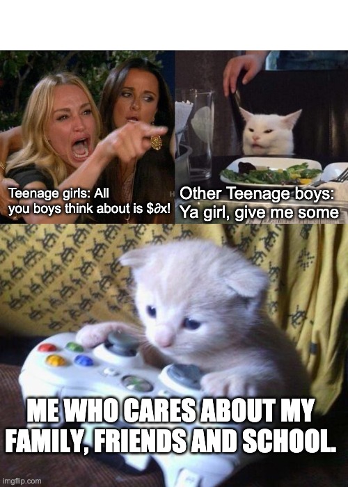 Girls vs Other Boys vs Me | Teenage girls: All you boys think about is $∂x! Other Teenage boys: Ya girl, give me some; ME WHO CARES ABOUT MY FAMILY, FRIENDS AND SCHOOL. | image tagged in memes,woman yelling at cat | made w/ Imgflip meme maker