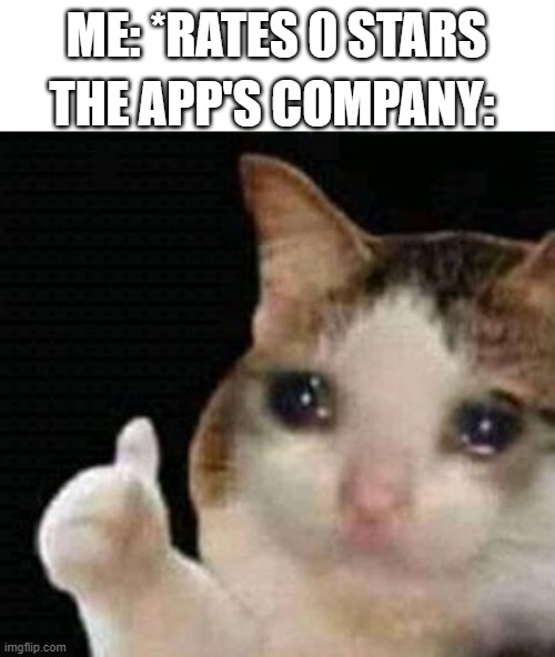 sad thumbs up cat | THE APP'S COMPANY:; ME: *RATES 0 STARS | image tagged in sad thumbs up cat | made w/ Imgflip meme maker