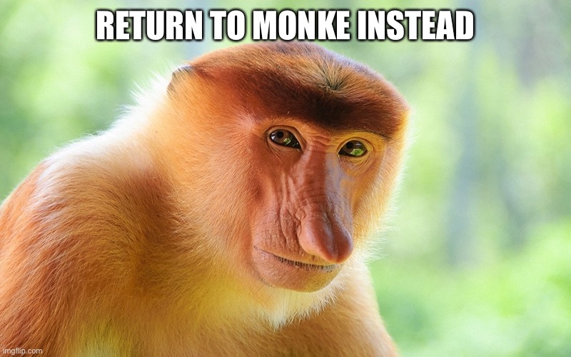 nosacz monkey | RETURN TO MONKE INSTEAD | image tagged in nosacz monkey | made w/ Imgflip meme maker