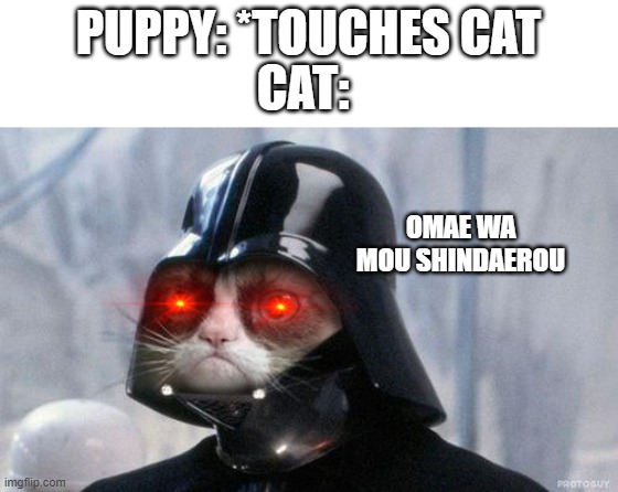 cat-vader | PUPPY: *TOUCHES CAT; CAT:; OMAE WA MOU SHINDAEROU | image tagged in memes,grumpy cat star wars,grumpy cat | made w/ Imgflip meme maker