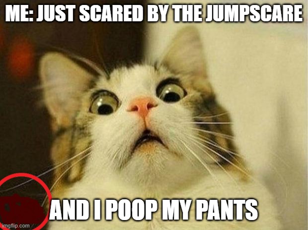 poopy cat | ME: JUST SCARED BY THE JUMPSCARE; AND I POOP MY PANTS | image tagged in memes,scared cat | made w/ Imgflip meme maker