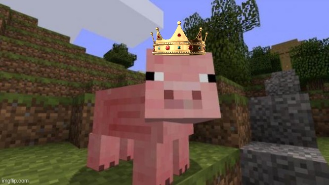 Minecraft Pig | image tagged in minecraft pig | made w/ Imgflip meme maker