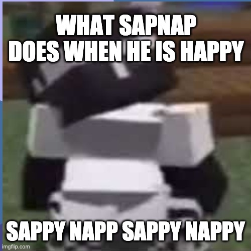 sapnap | WHAT SAPNAP DOES WHEN HE IS HAPPY; SAPPY NAPP SAPPY NAPPY | image tagged in xd,song lyrics,gaming | made w/ Imgflip meme maker