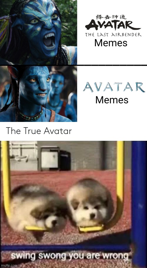 Avatar the Last Airbender for life | image tagged in swing swong you are wrong | made w/ Imgflip meme maker