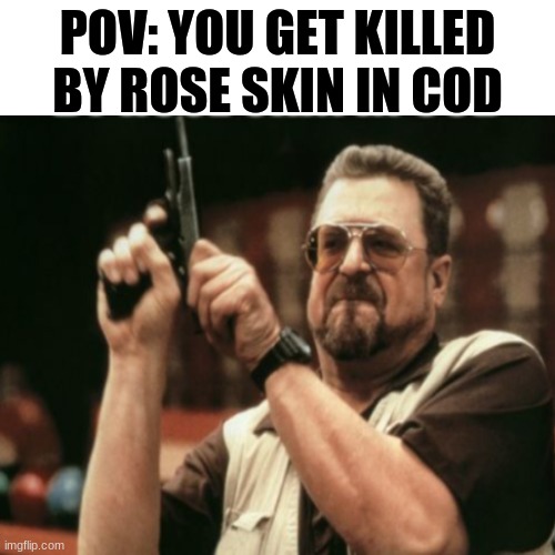 True | POV: YOU GET KILLED BY ROSE SKIN IN COD | image tagged in memes | made w/ Imgflip meme maker