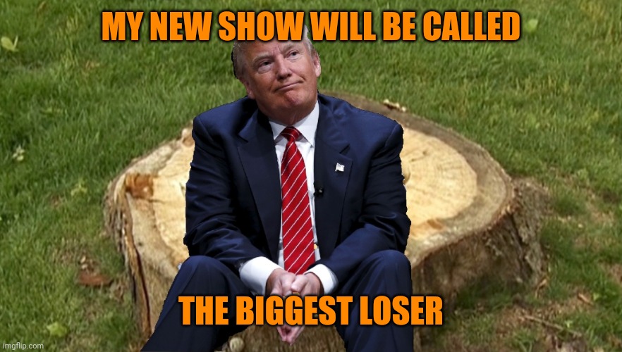 Trump on a stump | MY NEW SHOW WILL BE CALLED; THE BIGGEST LOSER | image tagged in trump on a stump | made w/ Imgflip meme maker