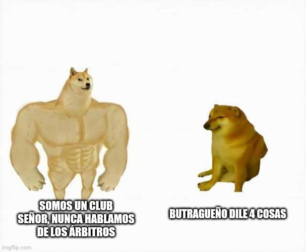 Strong dog vs weak dog | SOMOS UN CLUB SEÑOR, NUNCA HABLAMOS DE LOS ÁRBITROS; BUTRAGUEÑO DILE 4 COSAS | image tagged in strong dog vs weak dog | made w/ Imgflip meme maker