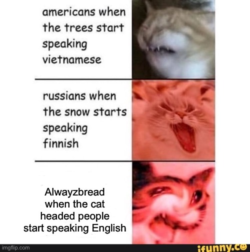 The felines | Alwayzbread when the cat headed people start speaking English | image tagged in americans when | made w/ Imgflip meme maker