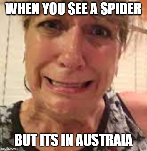 Oh no you don't | WHEN YOU SEE A SPIDER; BUT ITS IN AUSTRAIA | image tagged in aussie | made w/ Imgflip meme maker