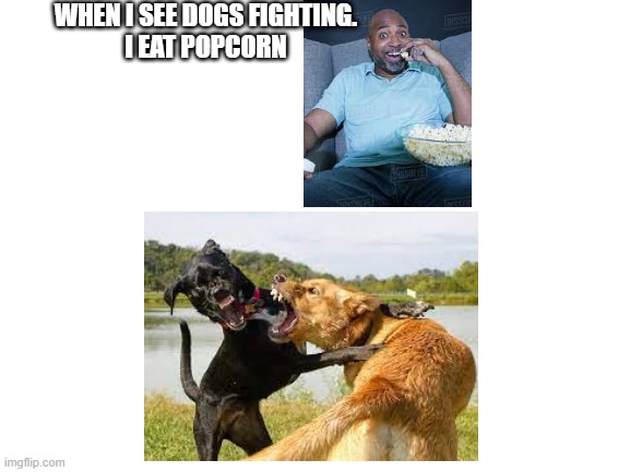 Dogs | WHEN I SEE DOGS FIGHTING.
I EAT POPCORN | image tagged in funny | made w/ Imgflip meme maker