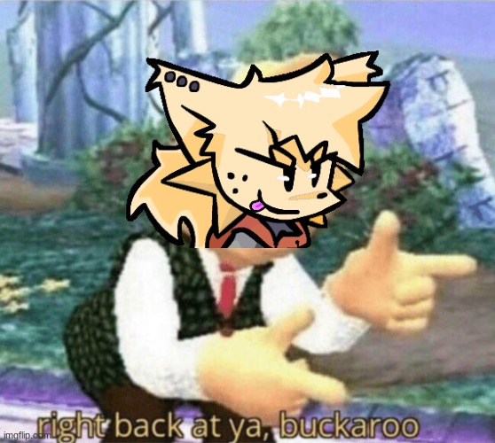 right back at ya buckaroo | image tagged in right back at ya buckaroo | made w/ Imgflip meme maker