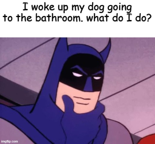 oops.. | I woke up my dog going to the bathroom. what do I do? | image tagged in batman pondering,doge,sorry,barney will eat all of your delectable biscuits | made w/ Imgflip meme maker