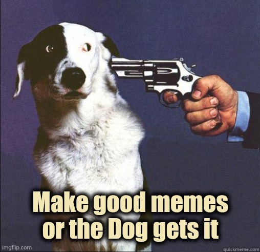 Shoot Dog | Make good memes or the Dog gets it | image tagged in shoot dog | made w/ Imgflip meme maker