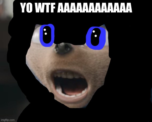 Sonic the Hedgehog | YO WTF AAAAAAAAAAAA | image tagged in sonic the hedgehog | made w/ Imgflip meme maker