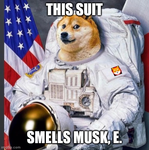 Musk, E | THIS SUIT; SMELLS MUSK, E. | image tagged in shibanaut very moon | made w/ Imgflip meme maker