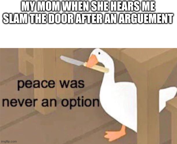 Untitled Goose Peace Was Never an Option | MY MOM WHEN SHE HEARS ME SLAM THE DOOR AFTER AN ARGUEMENT | image tagged in untitled goose peace was never an option | made w/ Imgflip meme maker