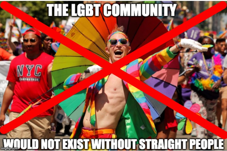 THE LGBT people without the STRAIGHTS | image tagged in gay pride,biology,dank memes,memes,stupid people,wierd | made w/ Imgflip meme maker