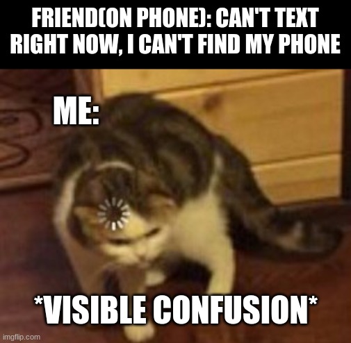 I can't text, I can't find my phone | FRIEND(ON PHONE): CAN'T TEXT RIGHT NOW, I CAN'T FIND MY PHONE; ME:; *VISIBLE CONFUSION* | image tagged in loading cat,cat | made w/ Imgflip meme maker